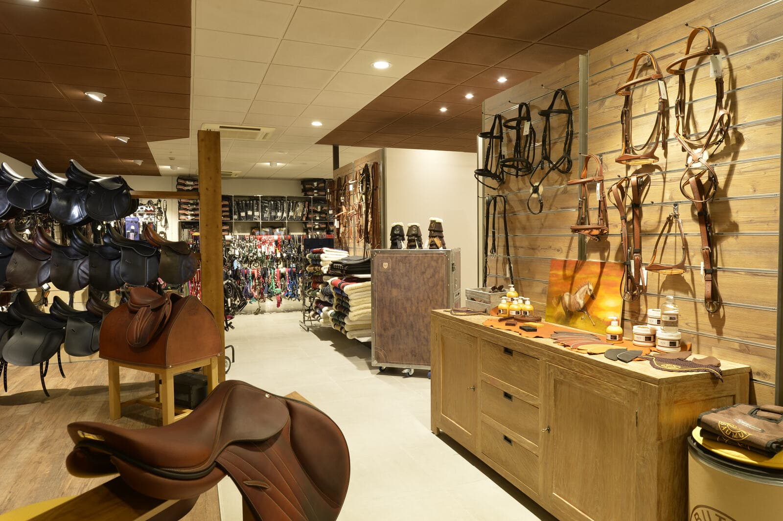 صورة عن الشركة